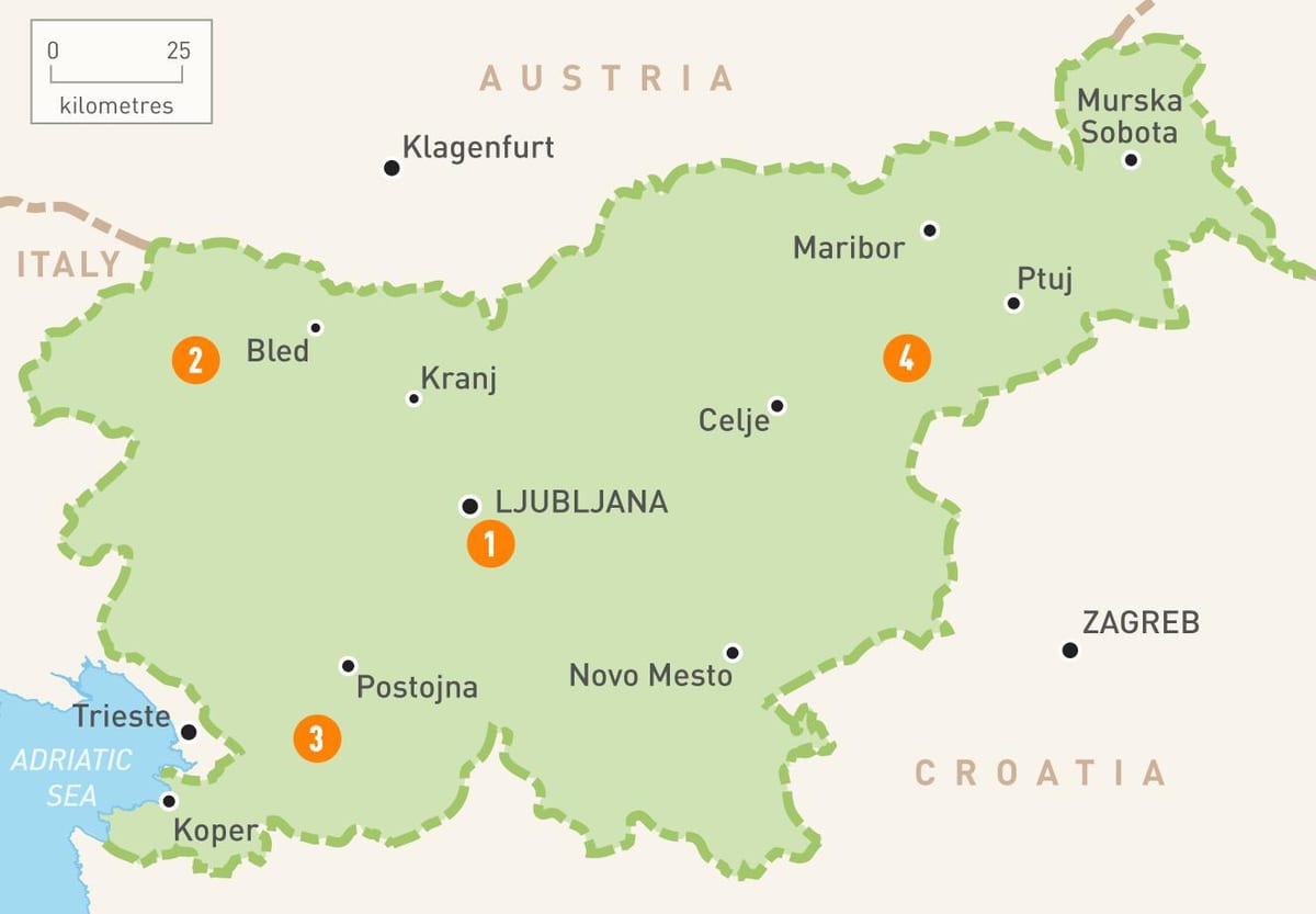 Mapa da Eslovénia regiões